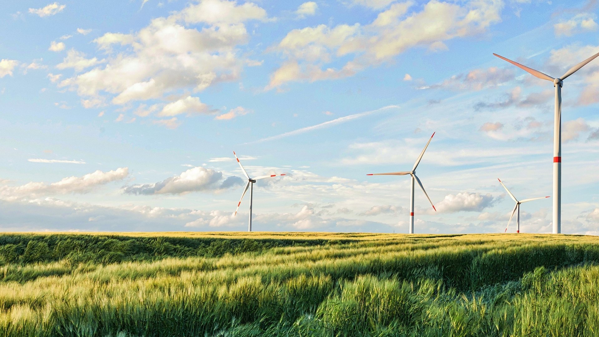 Ihr transparenter Stromanbieter in Südtirol/Trentino Ihr transparenter Stromanbieter in Südtirol/Trentino