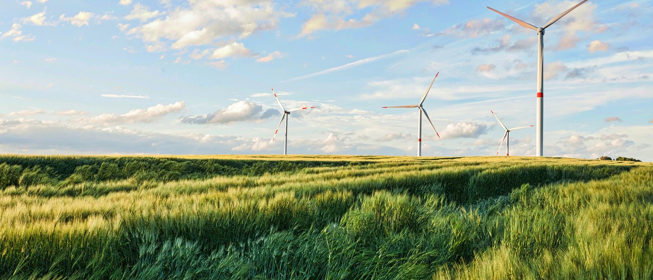 Ihr transparenter Stromanbieter in Südtirol/Trentino Ihr transparenter Stromanbieter in Südtirol/Trentino